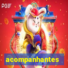 acompanhantes chamadas de video